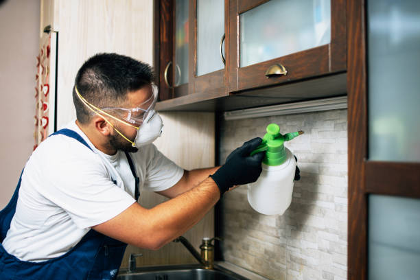 Northwoods, MO Pest Control Company