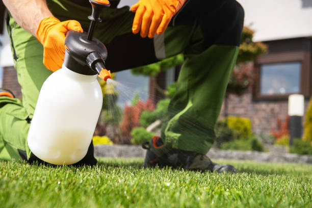 Best Best Pest Control Companies  in Northwoods, MO