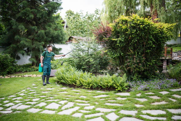 Best Commercial Pest Control Services  in Northwoods, MO