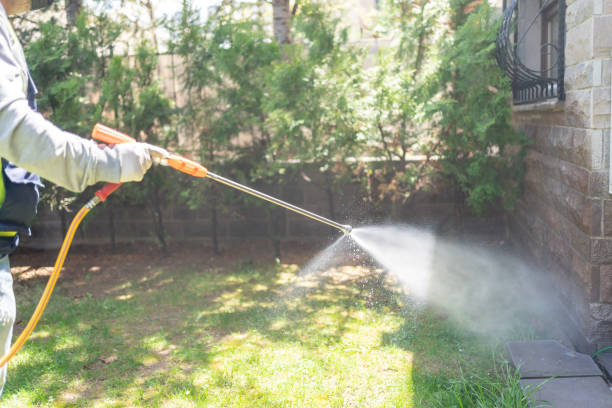 Best Wasp Removal Services  in Northwoods, MO